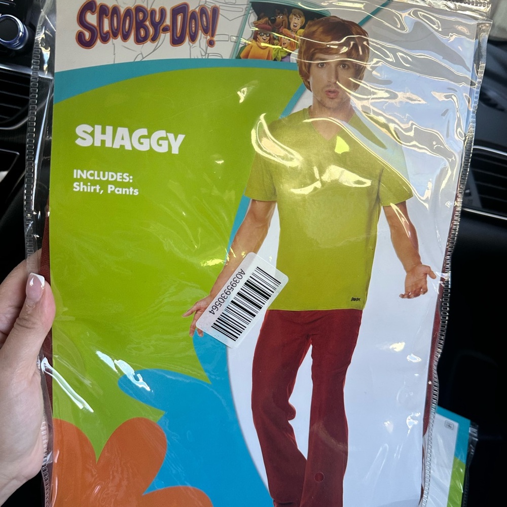 Shaggy from Scooby Doo Halloween Costume